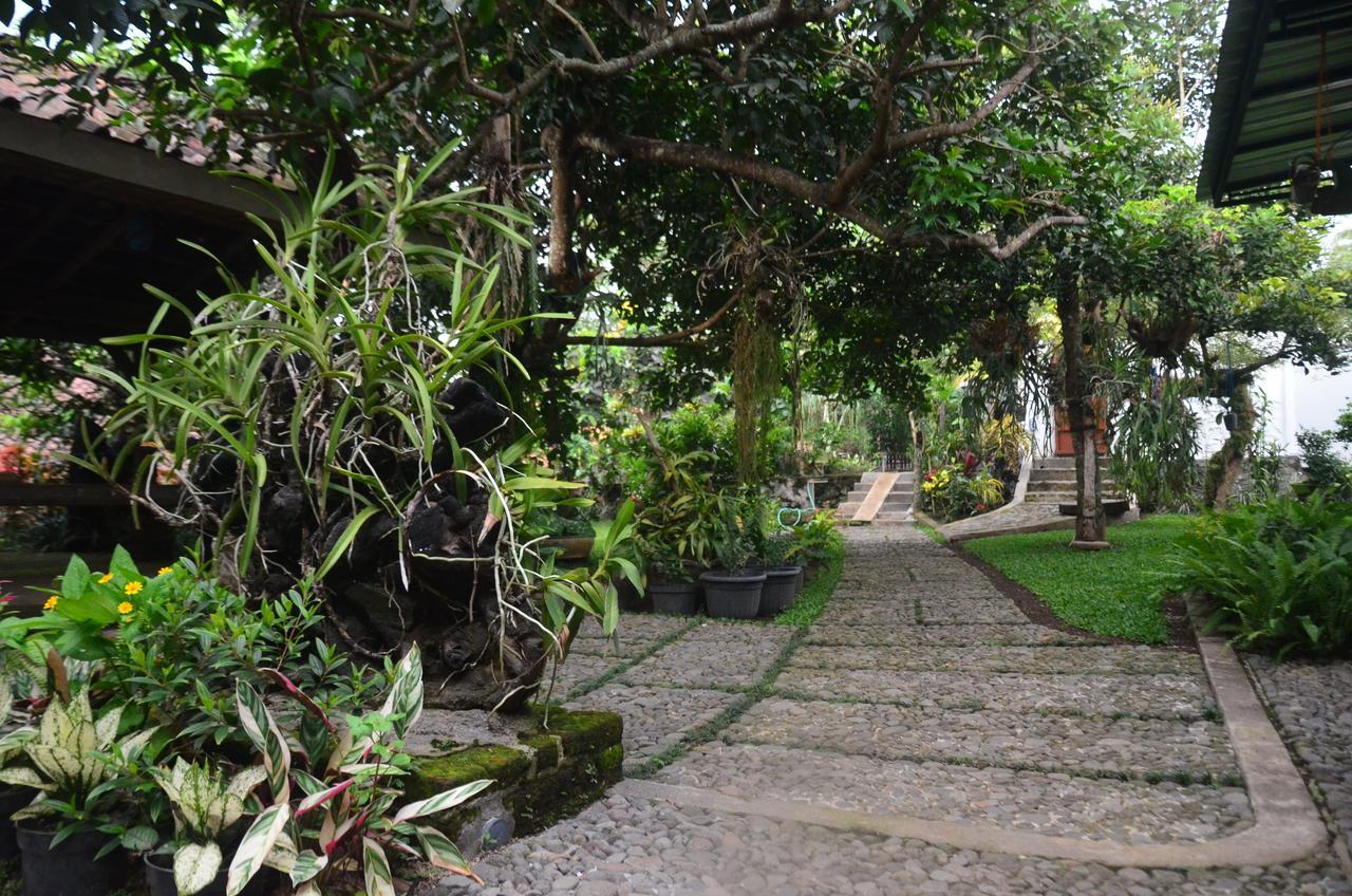 Banyu Homestay Banyuwangi  Exterior foto