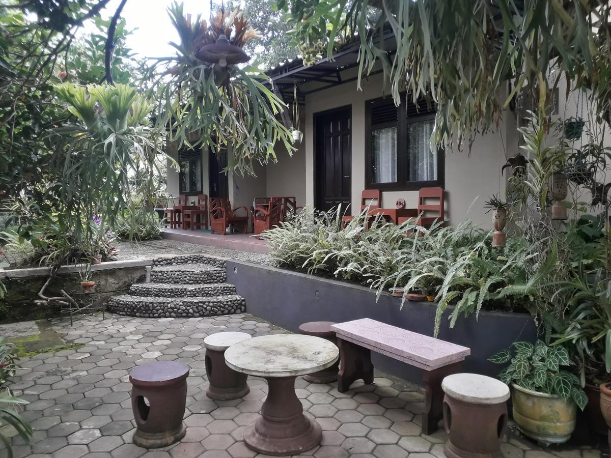 Banyu Homestay Banyuwangi  Exterior foto