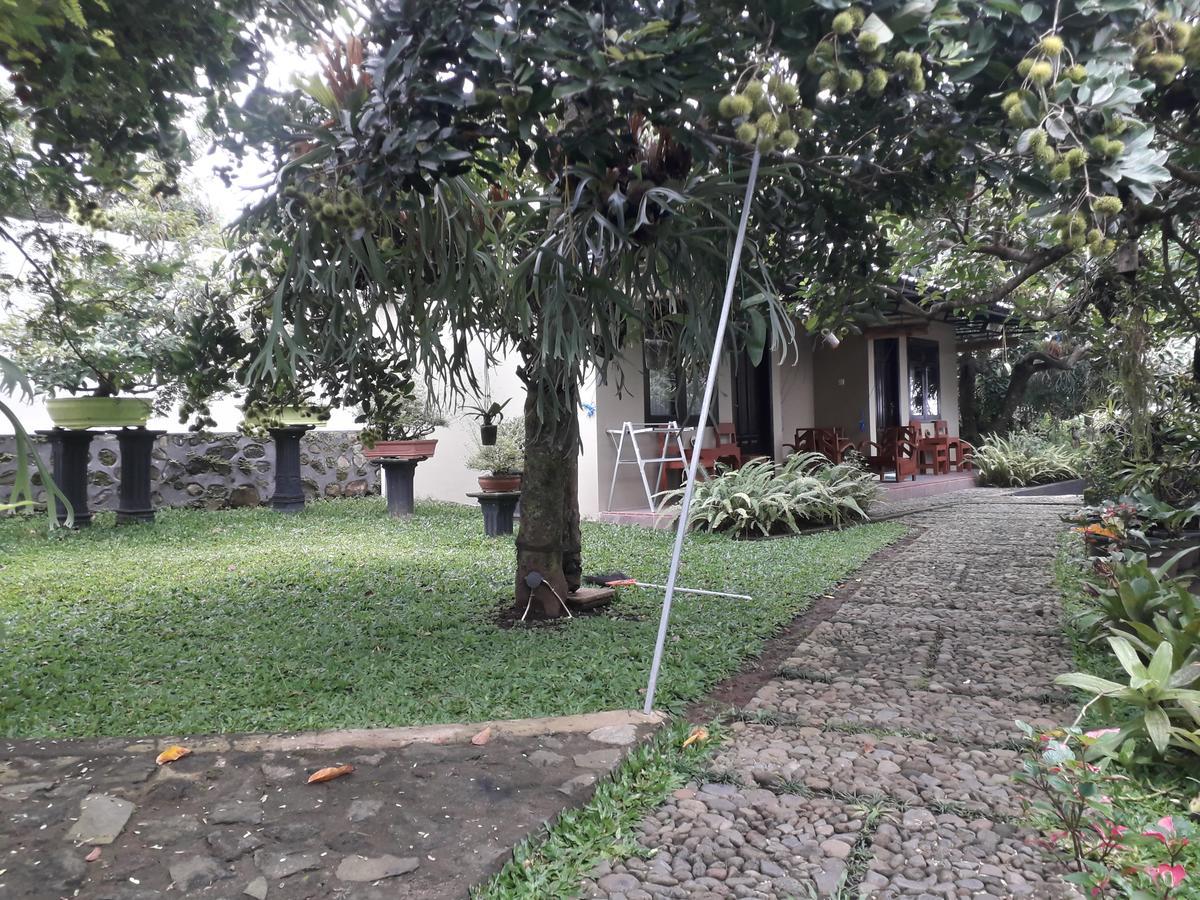 Banyu Homestay Banyuwangi  Exterior foto