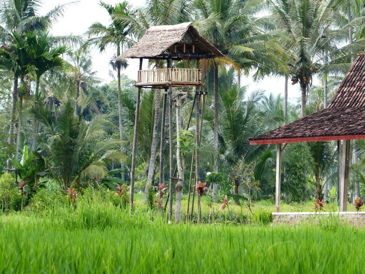 Banyu Homestay Banyuwangi  Exterior foto