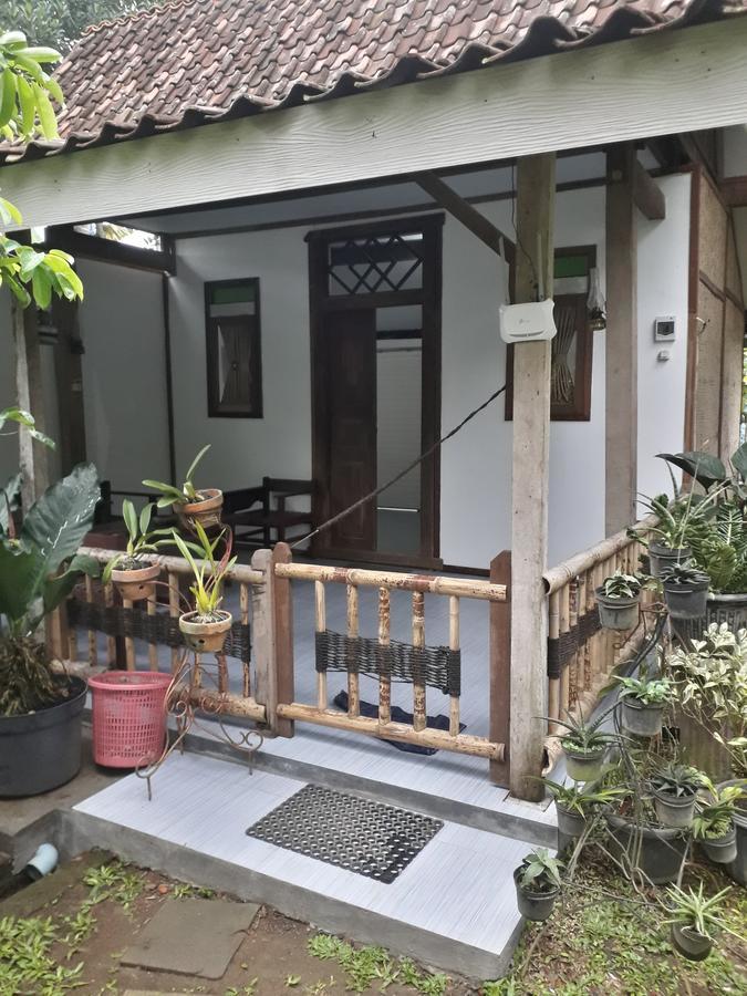 Banyu Homestay Banyuwangi  Exterior foto
