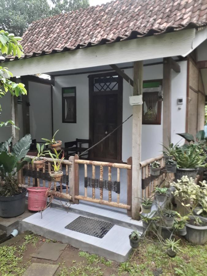 Banyu Homestay Banyuwangi  Exterior foto